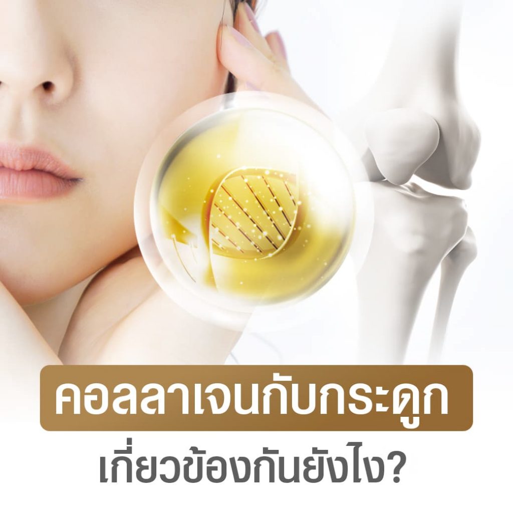 คอลลาเจนกับกระดูก